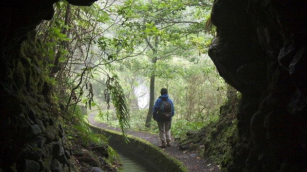 Madeira, levda do Norte