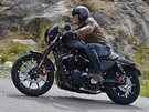 Harley-Davidson Iron. Kapotka nebo s&#780;ti&#769;tek, c&#780;ervene&#769;...