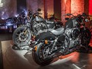 Harley-Davidson Iron a Forty-Eight pro rok 2016