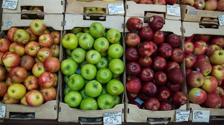 Jablka musí podle normy EU dorst minimáln prmru 6,5 centimetr.
