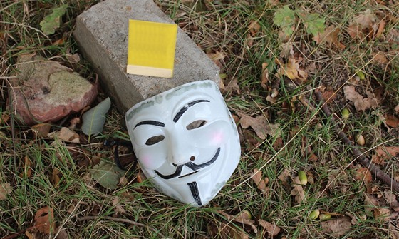 Pachatel loupe�í necht�l, aby mu bylo vid�t do tvá�e, proto si nasadil masku...