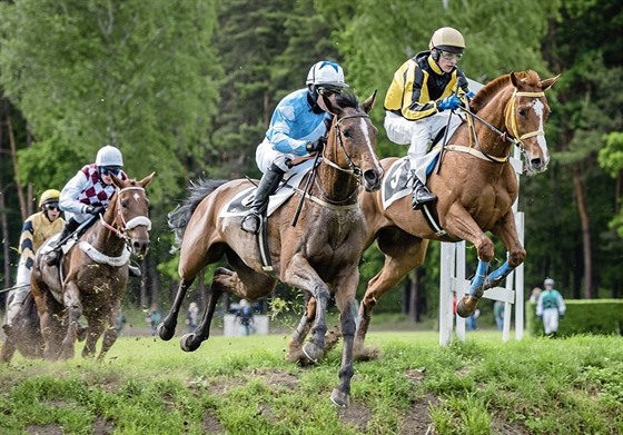 Zarif s Josefem Bartoem (károvaný ervenobílý dres) útoí v kvalifikaci na Velkou pardubickou zezadu. 