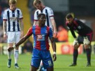 Wilfried Zaha z Crystal Palace na kolenou po zmaené anci v utkání s West...