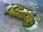 Frigate Caye, Belize