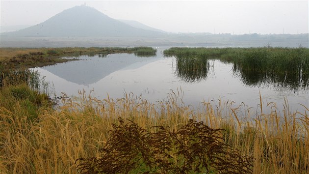 Jezero Most