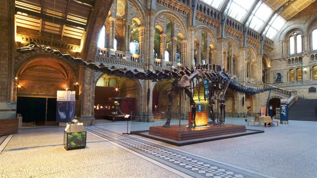 Carnegie proslul tak jako tdr dontor odlitk kostry velkho sauropodnho dinosaura druhu Diplodocus carnegii, pojmenovanho prv po nm. V letech 1905 - 1913 daroval nkolika evropskm panovnkm odlitky ob kostry tohoto dinosaura pro jejich prodovdeck muzea. (Wikipedie) Na snmku  Natural History Museum v Londn.