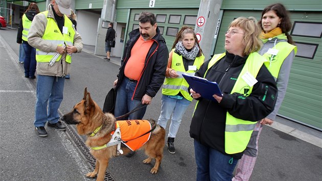 Nevidom si ve stedu zkusili zen auta na Masarykov okruhu v Brn.