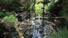 ilustra�ní snímek