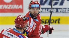 T�inecký úto�ník Zbyn�k Irgl se raduje z gólu.