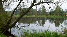 Jeden z Lomových rybníků poblíž obce Srní u Hlinska