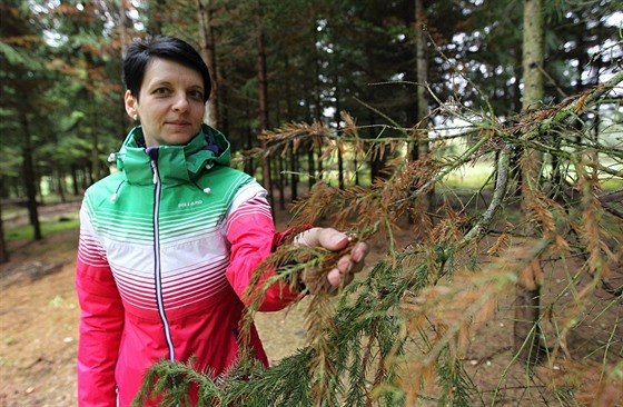 Pavlína Štěpánková ukazuje stromy napadené kůrovcem na jihlavském sídlišti Na...