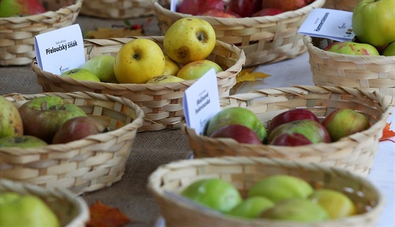 Lázeský festival jablek na kolonád v Mariánských Lázních. Souástí byla také...