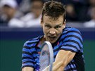 Tom Berdych na turnaji v anghaji.