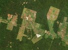 Satelitní snímek amazonského pralesa ukazuje míru deforestace
