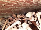 Archeologové nali v kostele v Suici kryptu plnou kostí