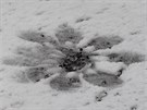 První sníh napadl i na Cínovci (14. íjna 2015).