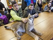 TEREZA ONDRUKOV, voln fotografka: Setkn s rysem. O ryse Blonka se...