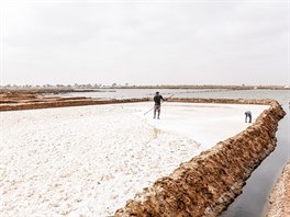 Senegalci se kvli zmnm klimatu pesouvaj od zemdlstv k tb soli