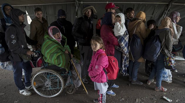 Migranti ekají ve stanu, a budou moci pekroit srbsko-chorvatskou hranici u...