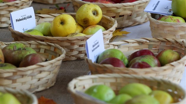 Lzesk festival jablek na kolond v Marinskch Lznch. Soust byla tak prezentace jablench odrd a jejich plod, ochutnvka motu nebo sout o nejlep trdl (10. 10. 2015)