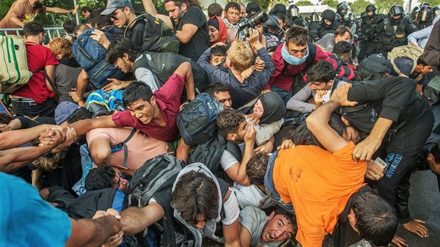 Fotografie roku - JAN ZTORSK, MF Dnes: Ze srie Uprchlci na maarskosrbsk
hranici, z 2015, hranin
pechod RszkeHorgo.