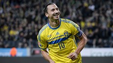Zlatan Ibrahimovi� práv� vst�elil gól a je spokojený.