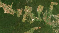 Satelitní snímek amazonského pralesa ukazuje míru deforestace