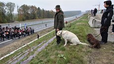 Na slavnostní otevení silnice se pili podívat i lidé z okolních obcí. (13....