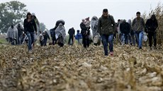 Uprchlíci pekraují srbsko-chorvatské hranice blízko msta id (12. íjna...