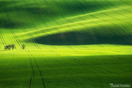 Zvlnn jihomoravsk krajina fotografm prvem pipomn italsk Tosknsko....