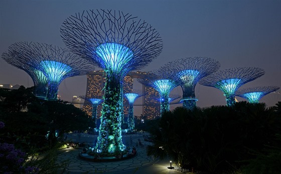 Superstromy v singapurském parku Gardens by the Bay (24. íjna 2015).