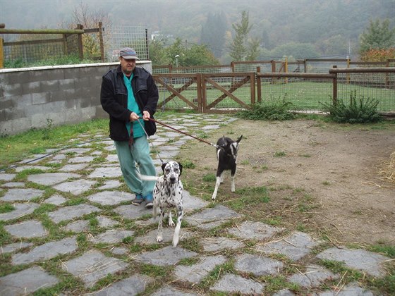 Po prohlídce oetovatelé umístili psa do kotce a kozu do ZOO koutku. Podle...