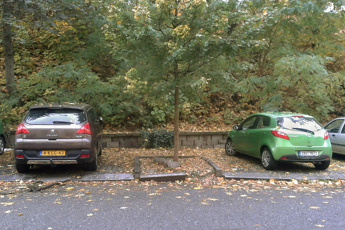 Velkým problémem je také to, �e �idi�i parkují bezohledn� a p�i parkování nep�emý�lejí.