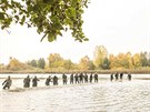 Výlov Bohdanečského rybníka konaný 28. října 2015