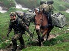 Nmecká 23. horská brigáda vyuívá muly a mezky. Slouí pro pepravu vybavení a...