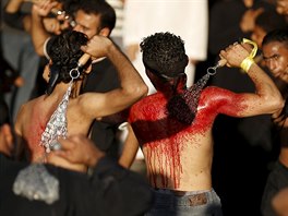Saudi Shi'ite Muslims flagellate themselves with chains during an Ashura...
