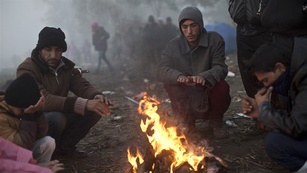 Uprchlci na srbsko-chortvatsk hranici u obce Berkasovo (23. jna 2015)
