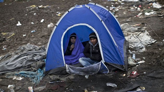 Uprchlci na srbsko-chortvatsk hranici u obce Bapska (23. jna 2015)