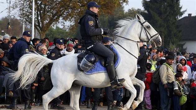 Uprchlky na hranici Slovinska a Chorvatska hld policie (21. jna 2015)