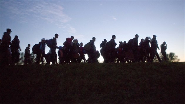 Uprchlky na hranici Slovinska a Chorvatska hld policie (21. jna 2015)