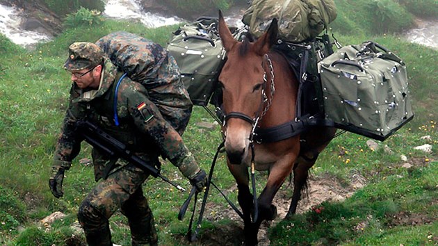 Německá 23. horská brigáda využívá muly a mezky. Slouží pro přepravu vybavení a zásob v těžkém terénu