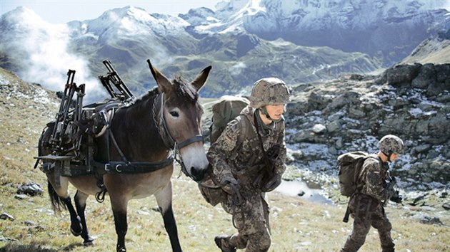 Německá 23. horská pěší brigáda z Bad Reichenhallu využívá pro transporty těžkým horským terénem muly a mezky