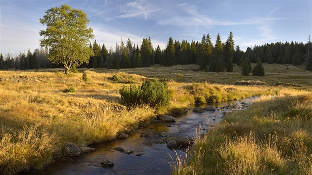 Roklansk potok