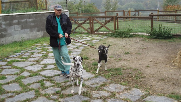 Po prohlídce o�et�ovatelé umístili psa do kotce a kozu do ZOO koutku. Podle...