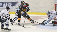 Zleva útoník Vítkovic Petr Kolouch, obránce Tomá Pastor, útoník Litvínova...