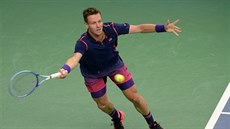 Tomá Berdych se natahuje po míku v utkání s Jackem Sockem.