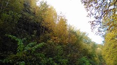 Na Kozí dráhu z D��ína do Telnice spadlo n�kolik tun kamení z p�ilehlého svahu...