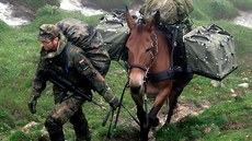 Německá 23. horská brigáda využívá muly a mezky. Slouží pro přepravu vybavení a...