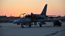 Letouny L-159 českých vzdušných sil na cvičení Trident Juncture ve Španělsku