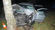 Tragická nehoda se stala ve st�edu v noci na �eskobud�jovicku.